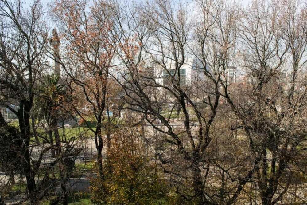 Apartment Guestready - Boavista Building Porto
